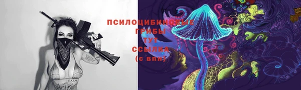 прущий лед Алексеевка