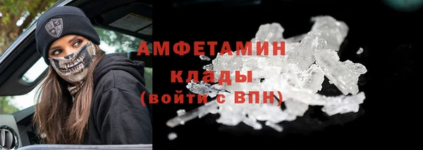 мет Алексин