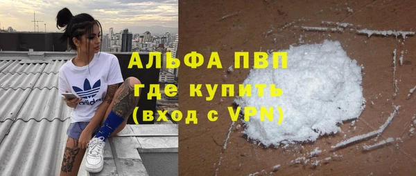 мет Алексин