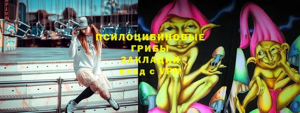 мет Алексин