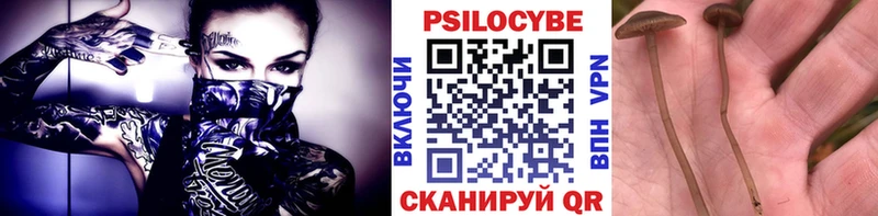 Псилоцибиновые грибы ЛСД  маркетплейс наркотические препараты  Олонец 